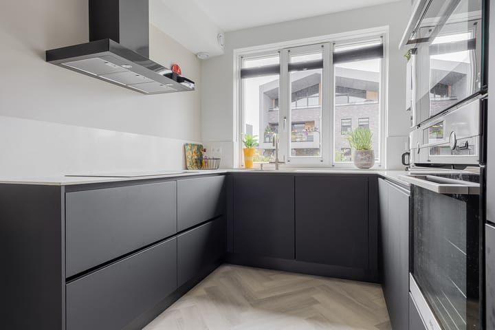 Photo 15 of Rubrum 11