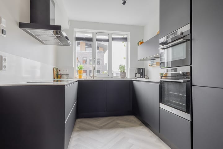 Photo 16 of Rubrum 11