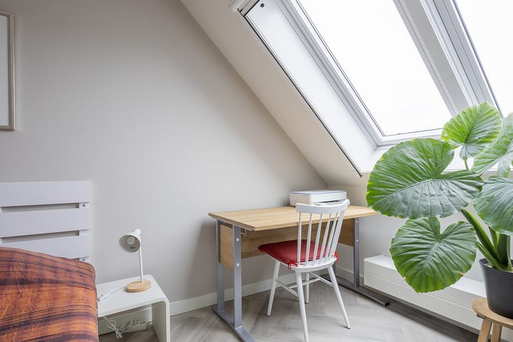 Photo 21 of Rubrum 11