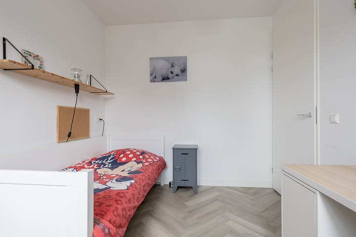 Photo 27 of Rubrum 11