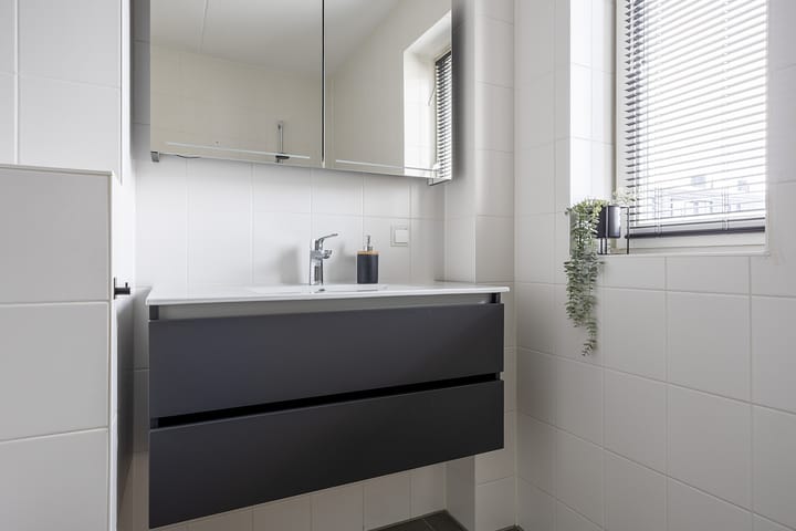 Photo 29 of Rubrum 11