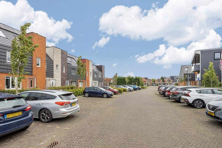 Photo 43 of Rubrum 11