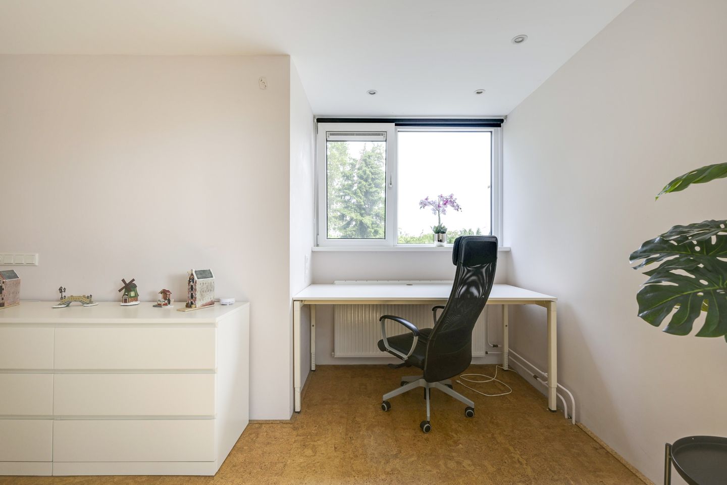 Foto 44 van Meidoornlaan 38