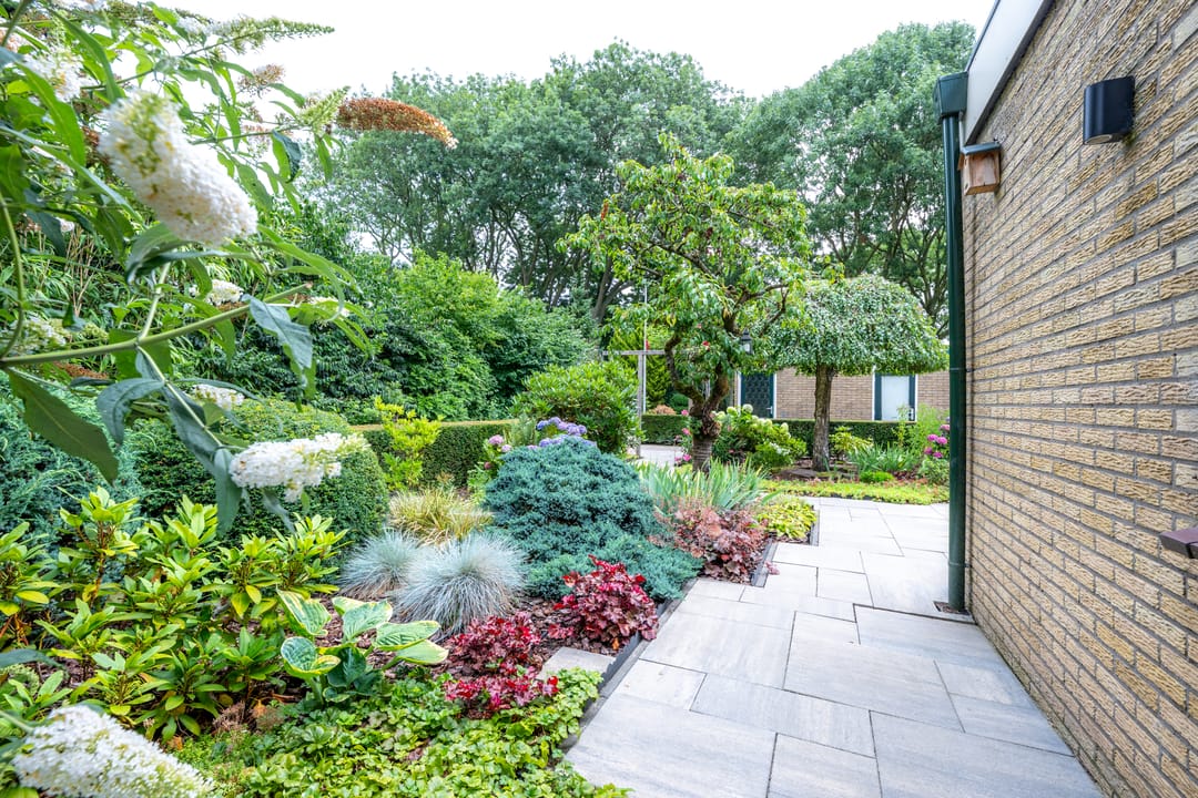 Foto 58 van Meidoornlaan 38