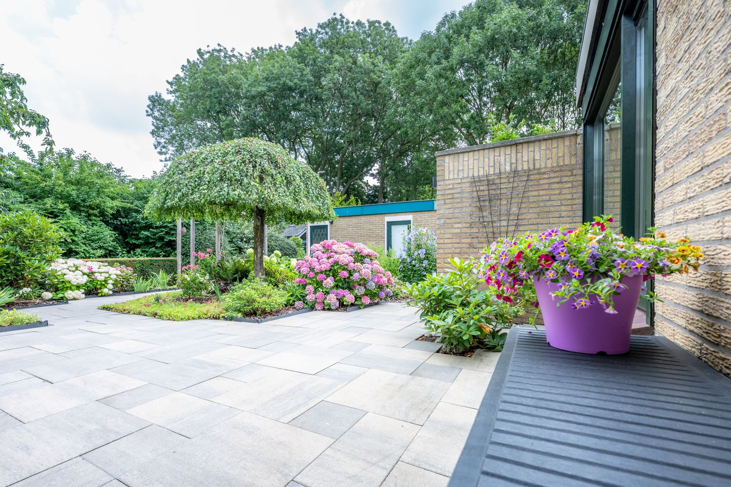 Foto 65 van Meidoornlaan 38