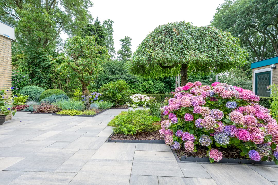 Foto 67 van Meidoornlaan 38