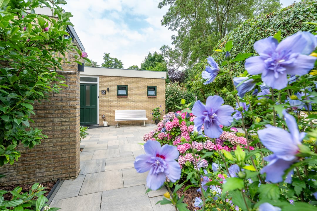 Foto 68 van Meidoornlaan 38