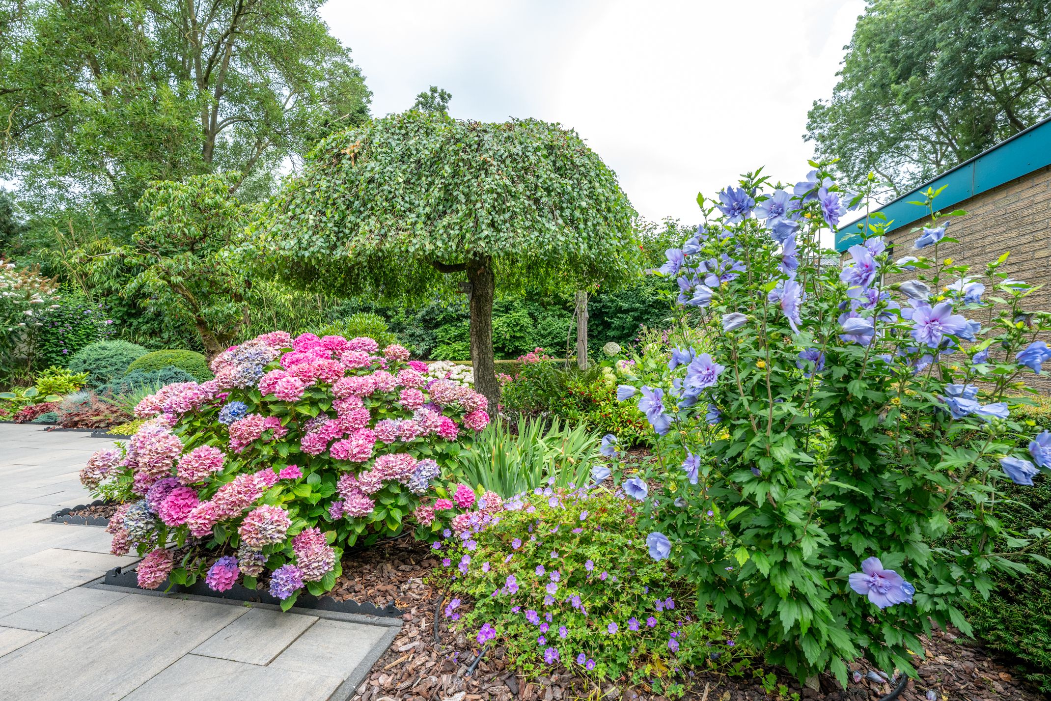 Foto 69 van Meidoornlaan 38