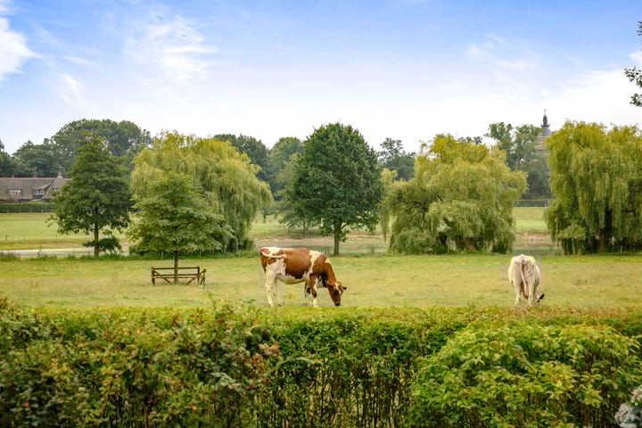 Foto 6 van Lookersdijk 13