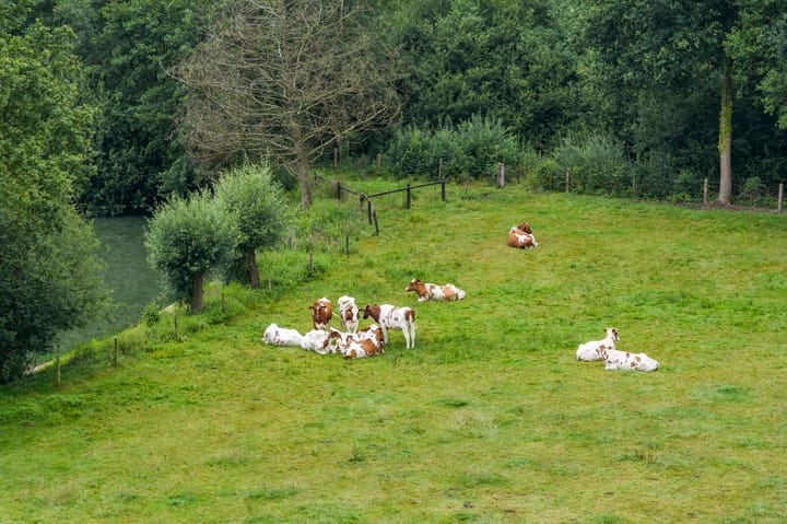 Foto 20 van Lookersdijk 13