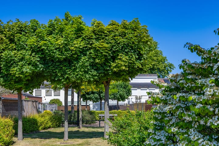 Foto 49 van Hordijkhof 2