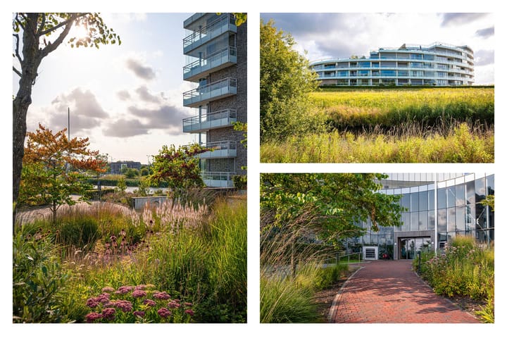 Foto 2 van Hof van Pampus 75