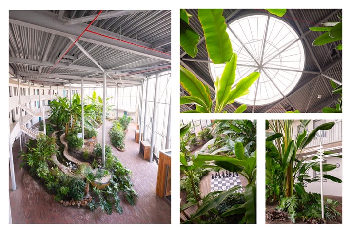 Foto 4 van Hof van Pampus 75