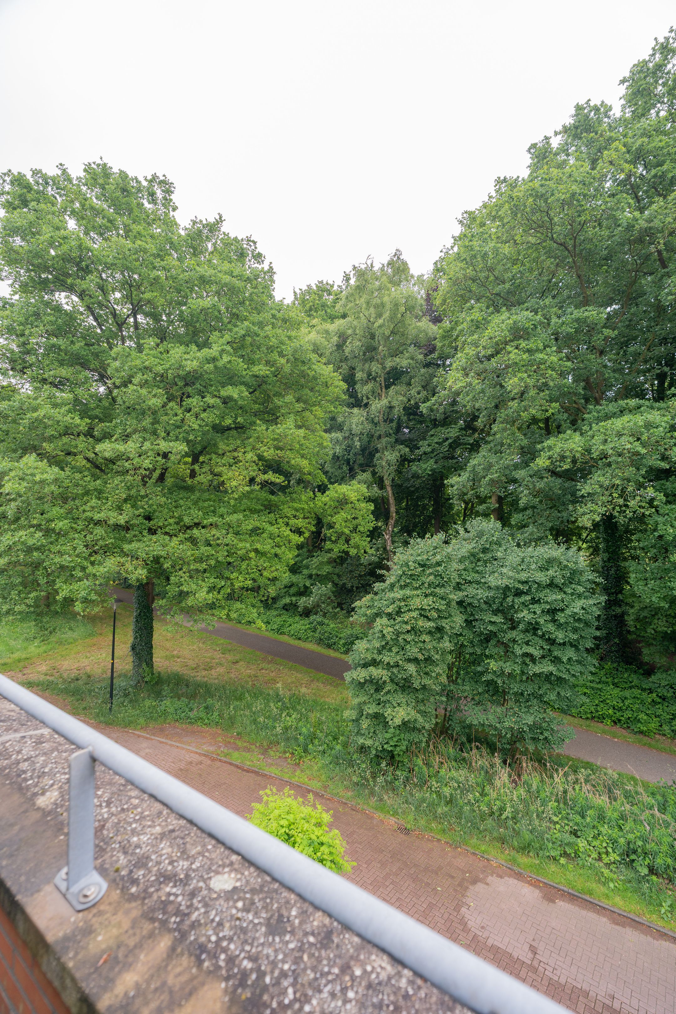 Foto 39 van Schiestraat 24