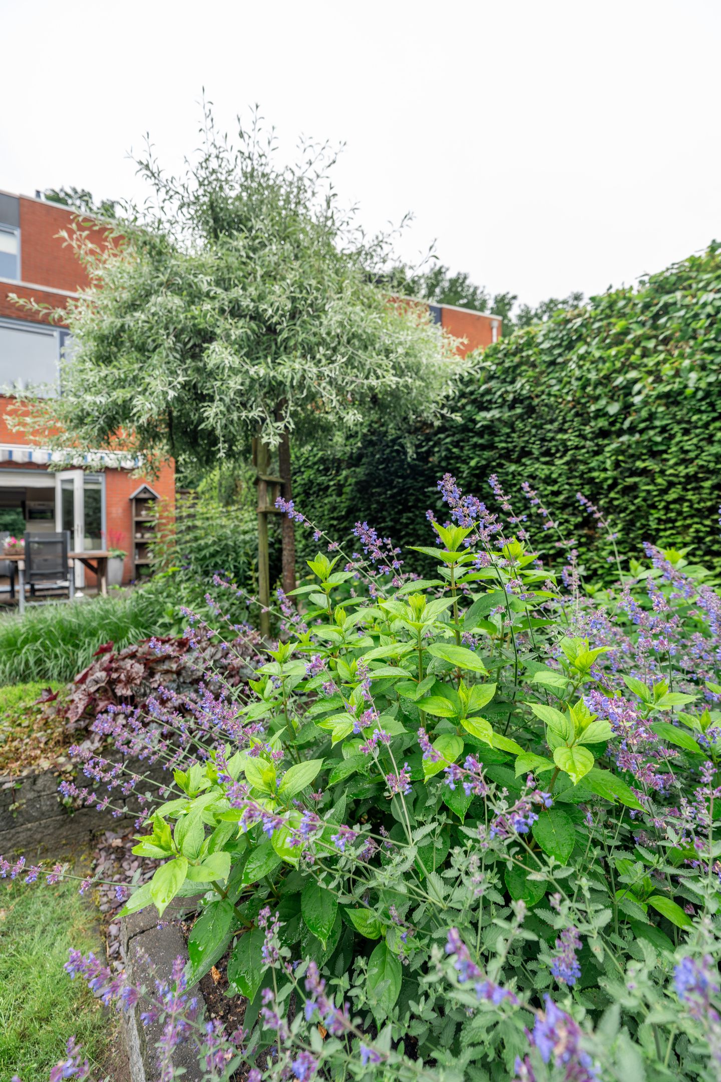 Foto 40 van Schiestraat 24