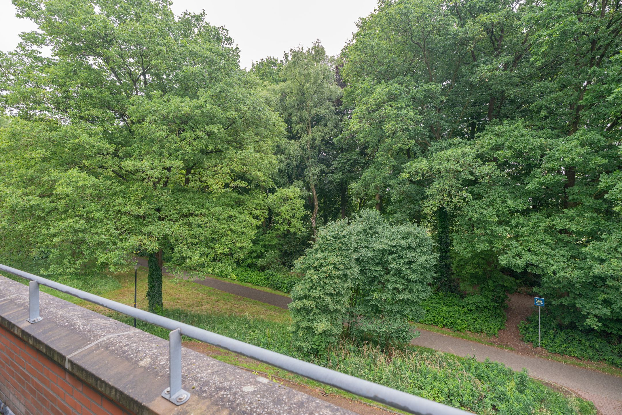 Foto 51 van Schiestraat 24