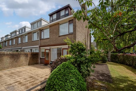 undefined main image