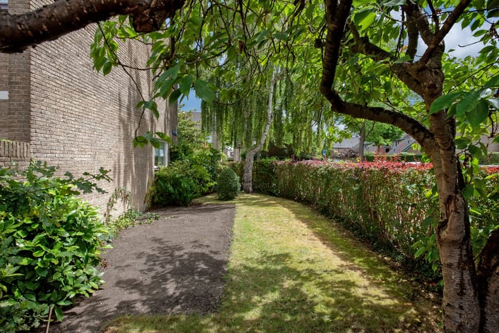 Foto 21 van Smedinghstraat 12