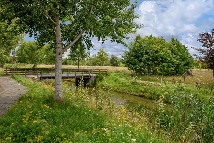 Foto 45 van Smedinghstraat 12