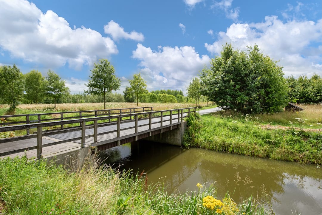 Foto 46 van Smedinghstraat 12