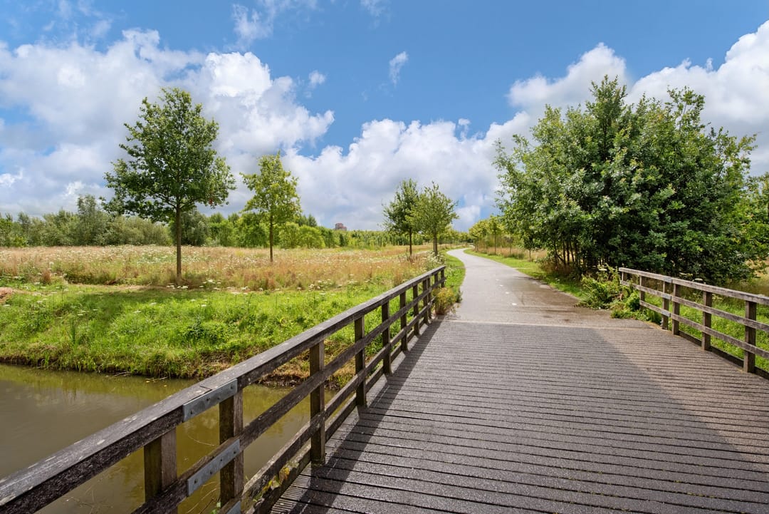 Foto 47 van Smedinghstraat 12