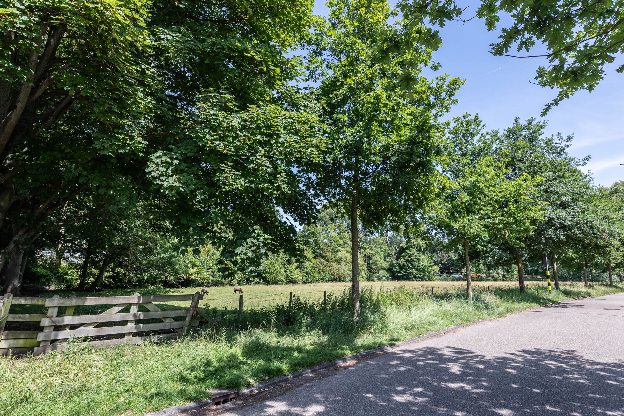 Foto 6 van Teding van Berkhoutlaan 19