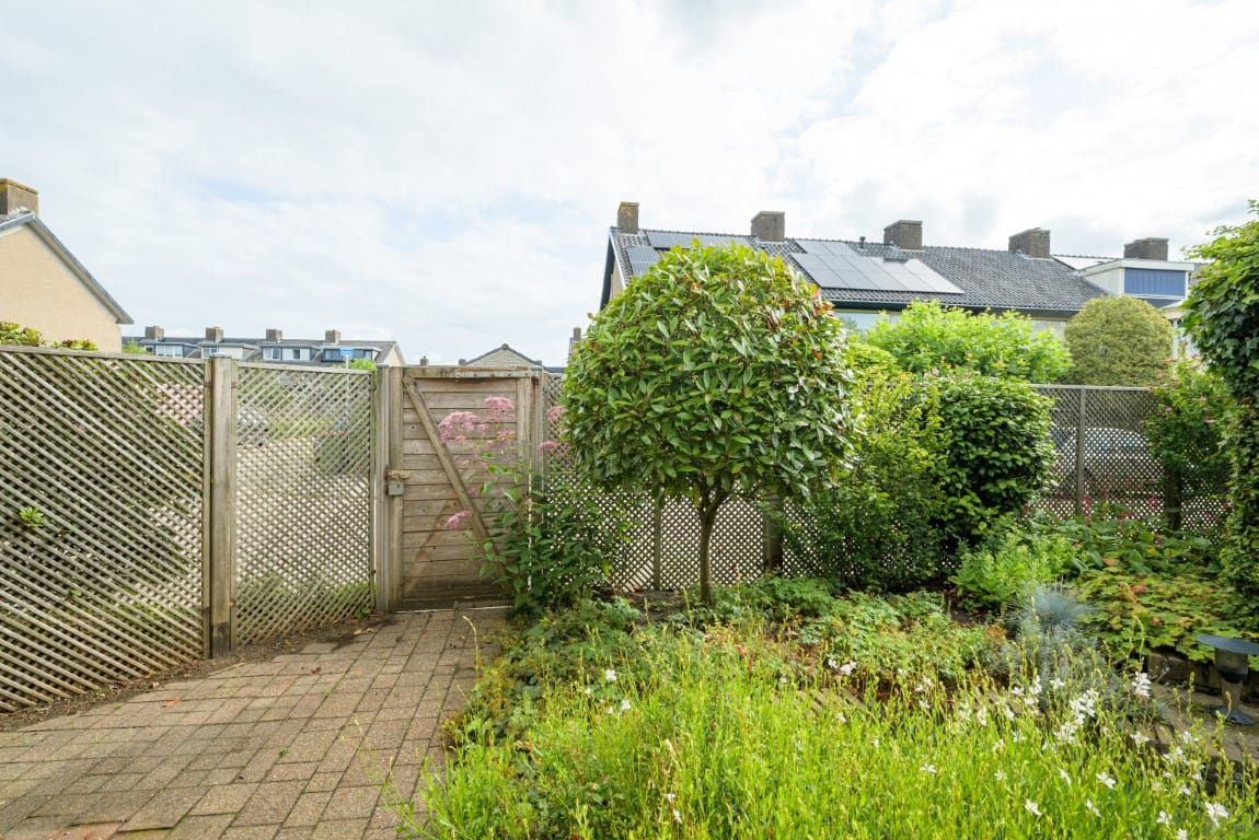 Foto 20 van Hornstraat 6