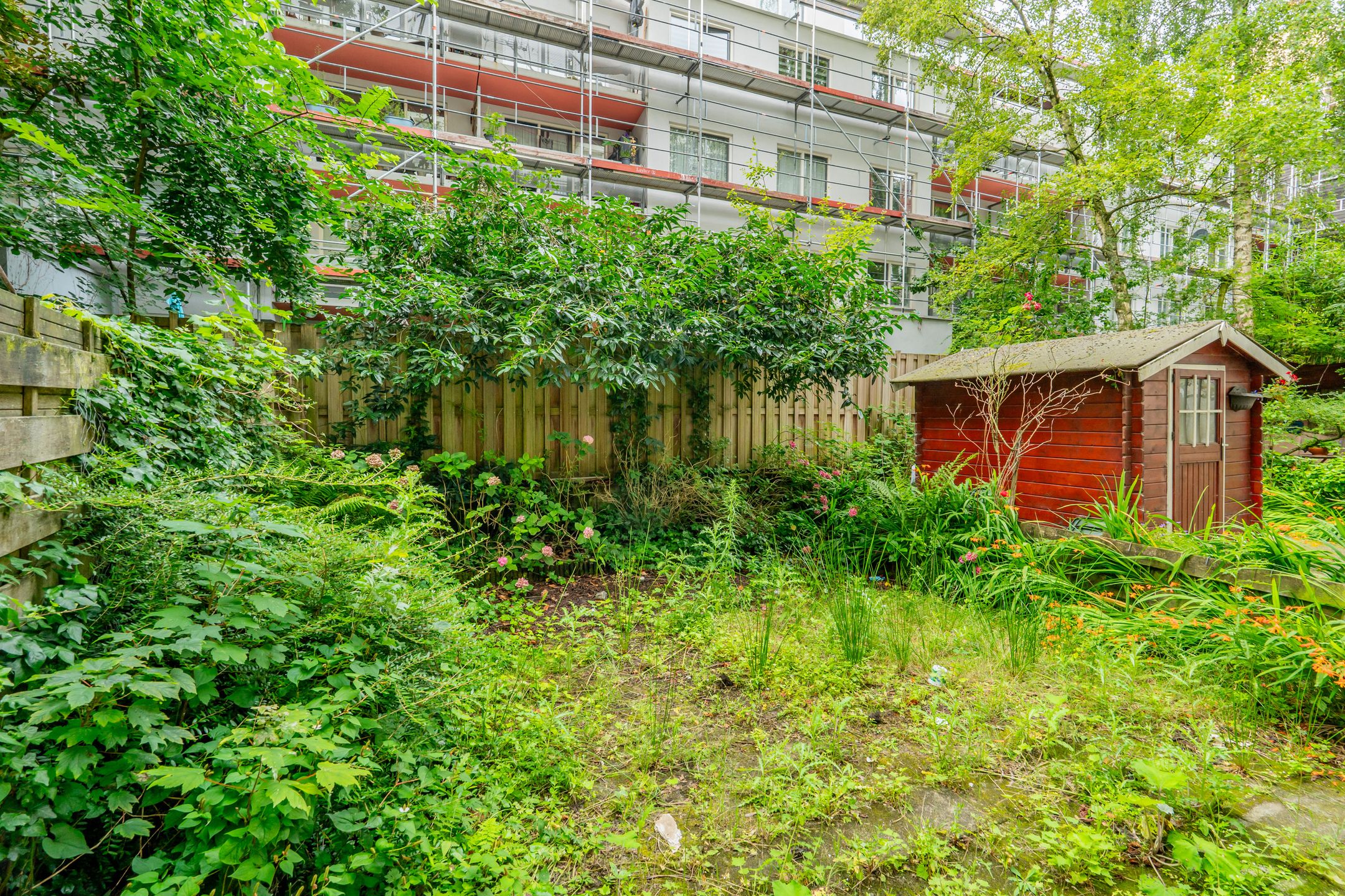 Foto 33 van Commelinstraat 15-A