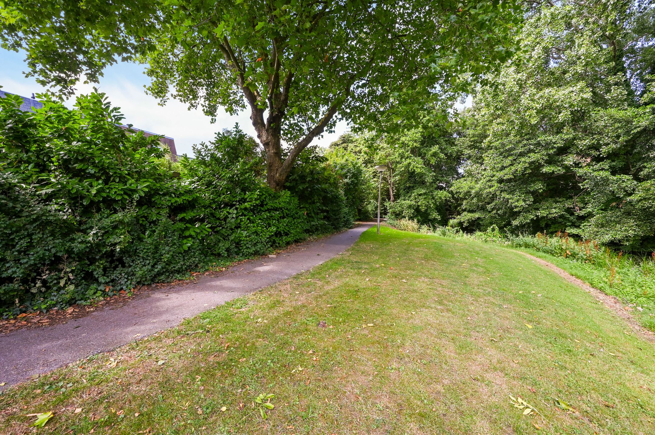 Foto 39 van Hazelaar 20