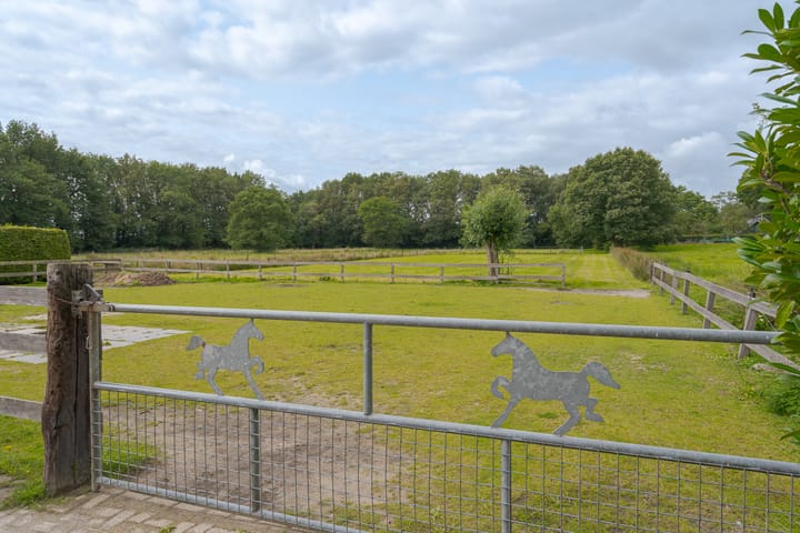 Foto 4 van Westerborkerstraat 20