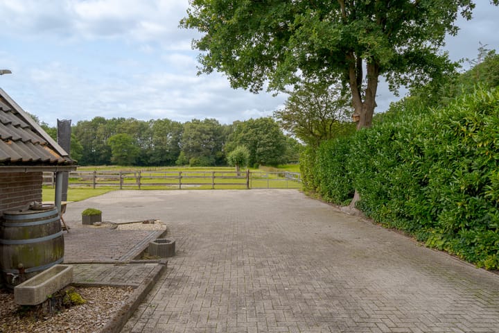 Foto 52 van Westerborkerstraat 20