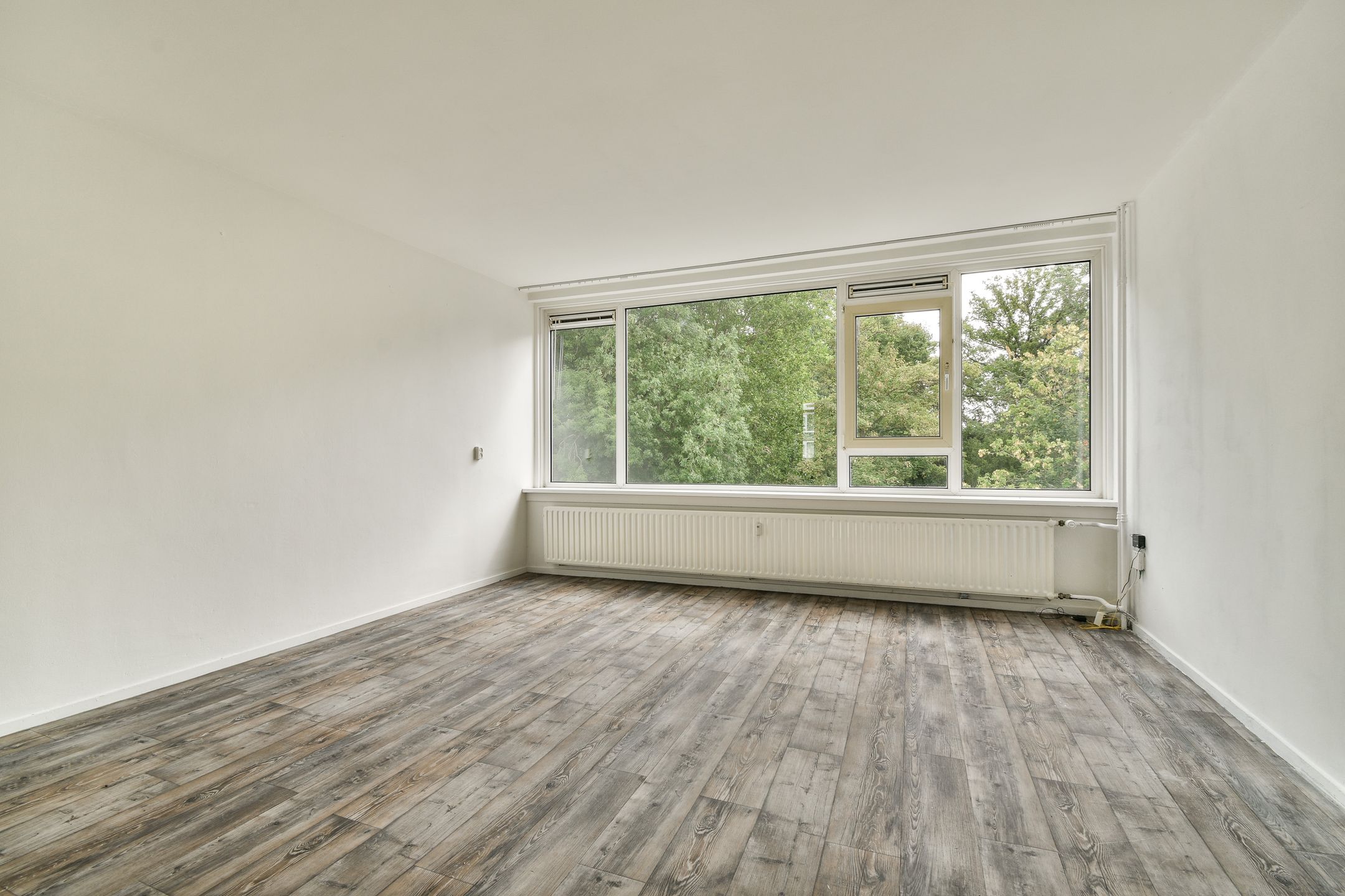 Foto 9 van Groen van Prinstererweg 47