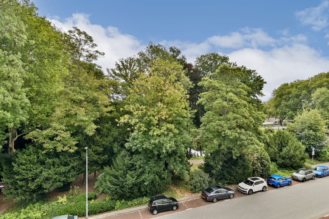 Foto 28 van Groen van Prinstererweg 47