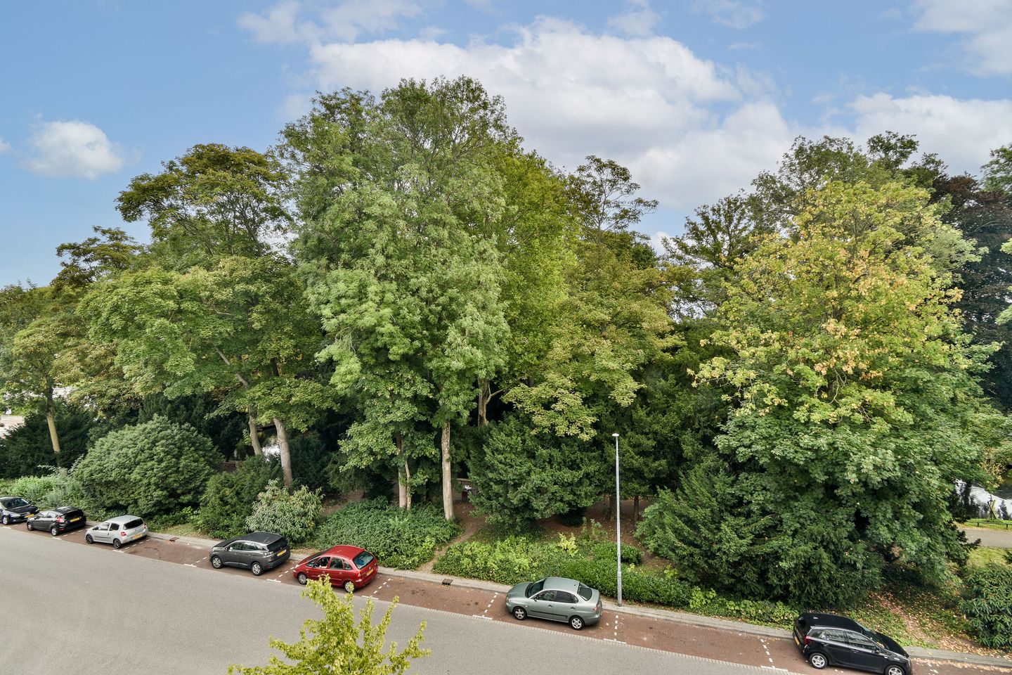 Foto 29 van Groen van Prinstererweg 47