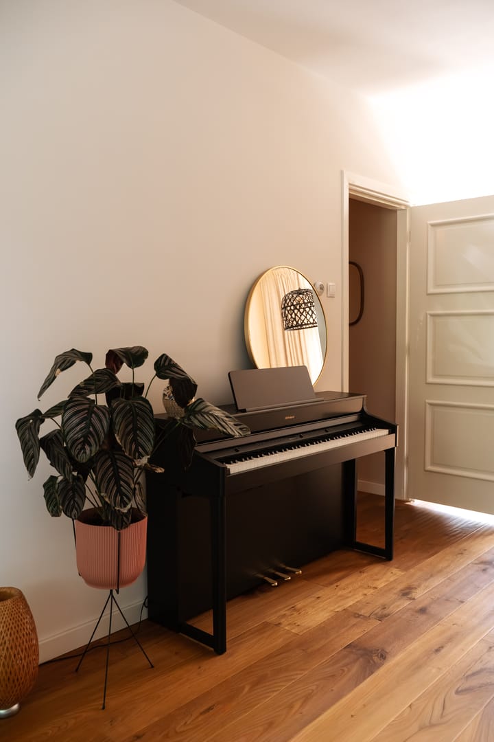 Foto 18 van Bachkade 14