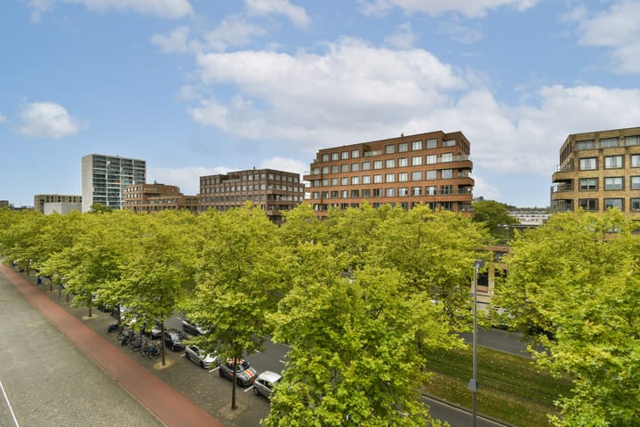 Foto 16 van Laan op Zuid 752