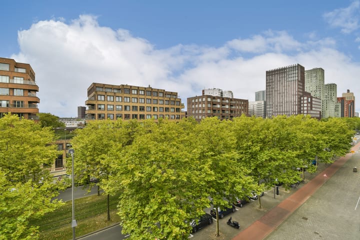 Foto 17 van Laan op Zuid 752