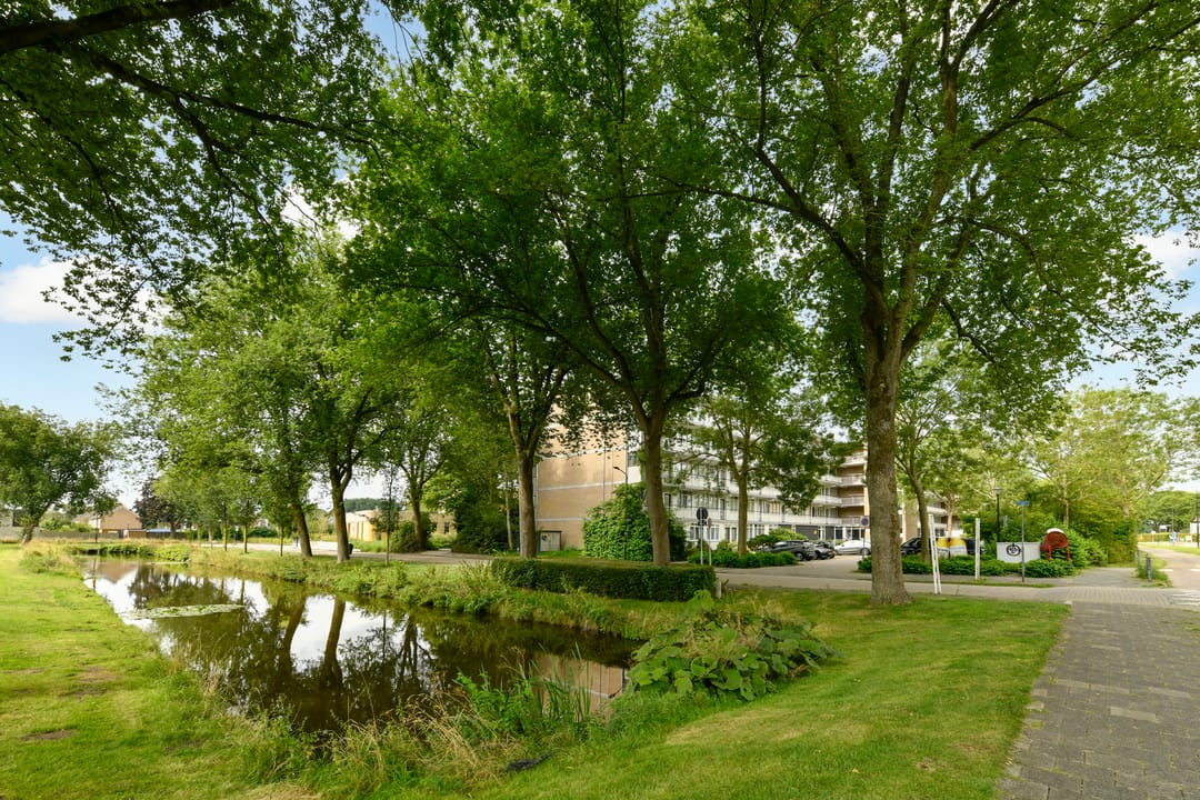 Foto 16 van Nobel 56