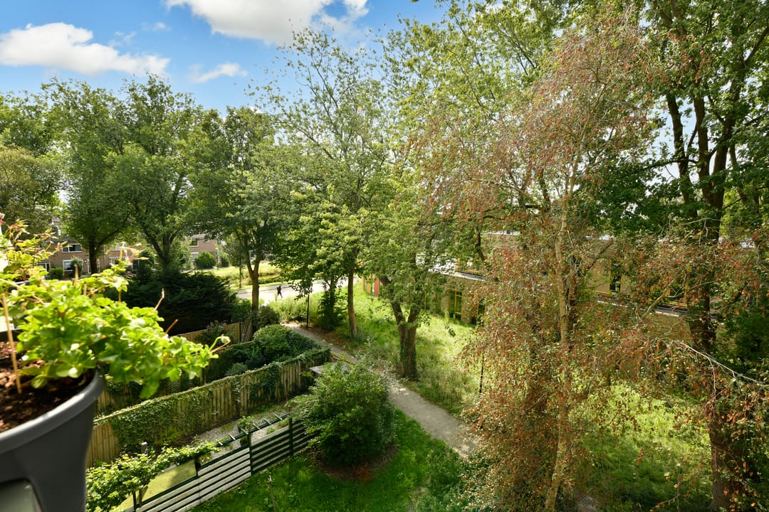 Foto 17 van Nobel 56