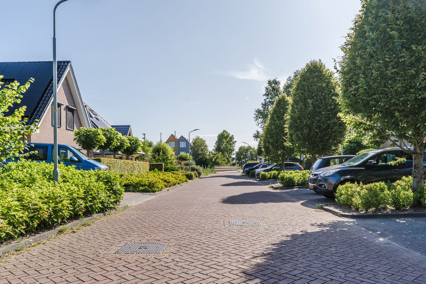 Foto 49 van Zomersloot 15