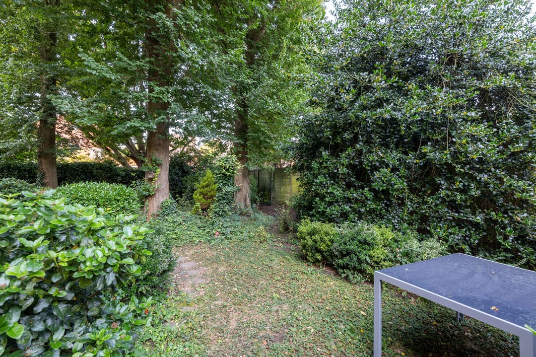 Foto 22 van Willem de Bijelaan 93