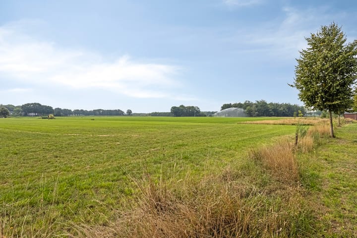 Foto 50 van Kleine Hassel 11