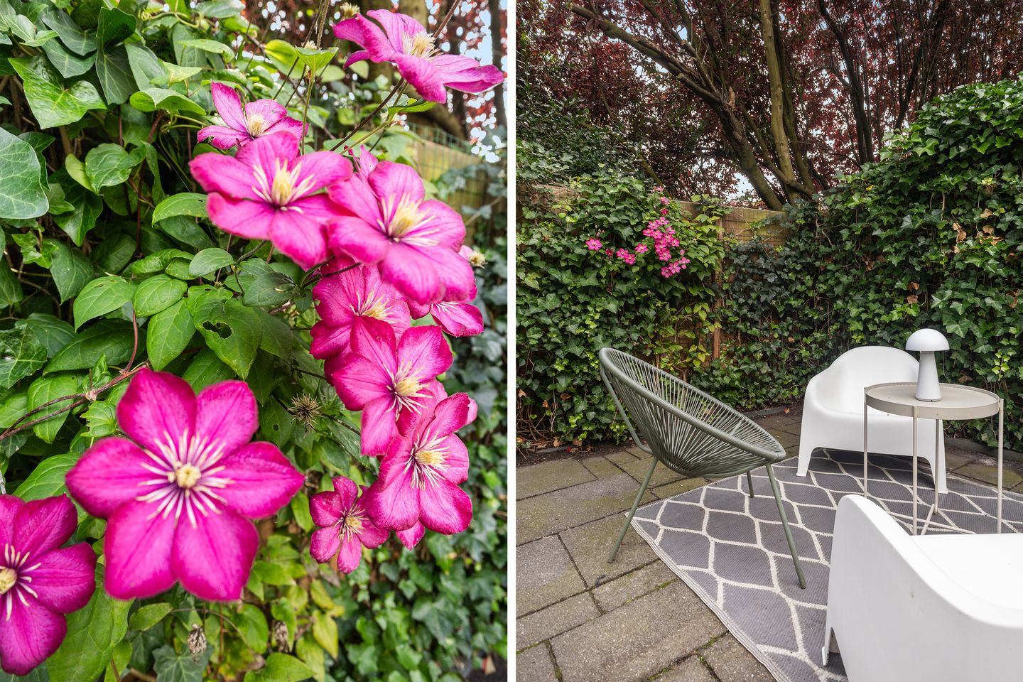 Foto 10 van Lijsterstraat 18