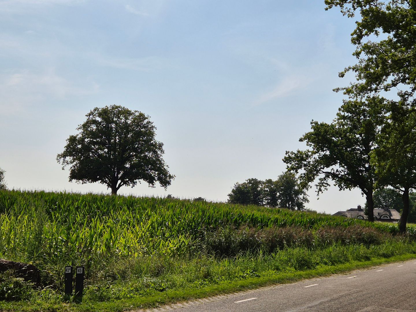 View photo 3 of Oude Nijkerkerweg