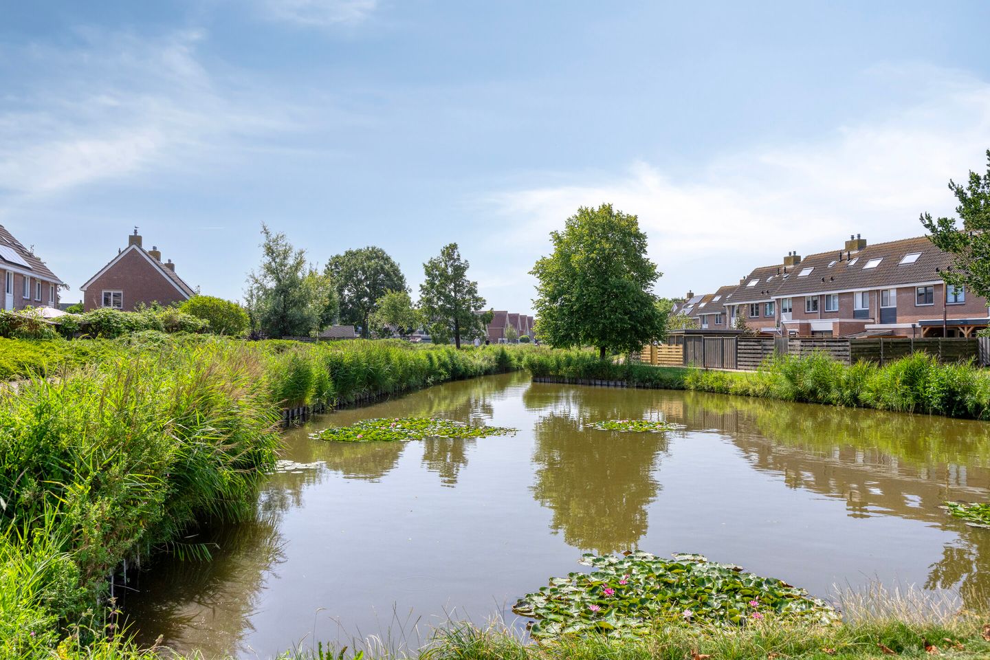 Photo 34 of Botterweg 14