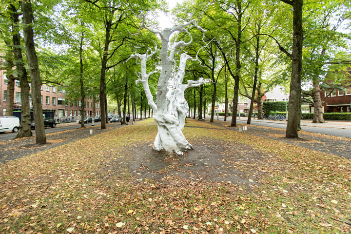 Photo 58 of Apollolaan 187-3