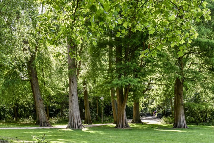 Foto 23 van Eerste Schinkelstraat 5-A