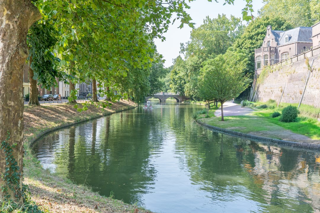 Foto 37 van Zonstraat 52