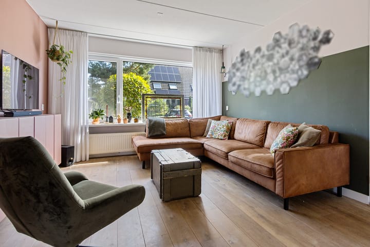 Foto 15 van Skâns 6