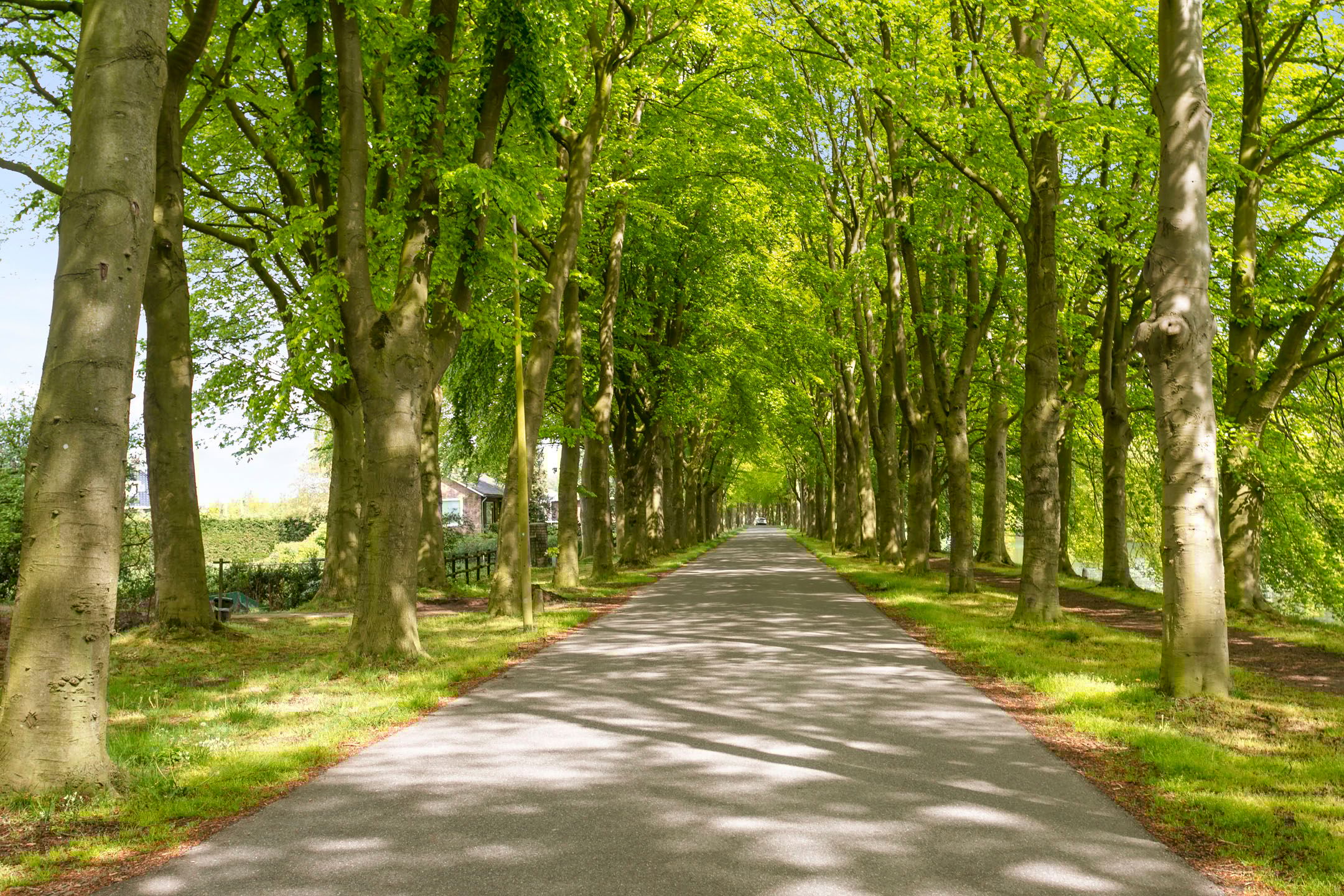 Photo 6 of Oude Veerweg 12